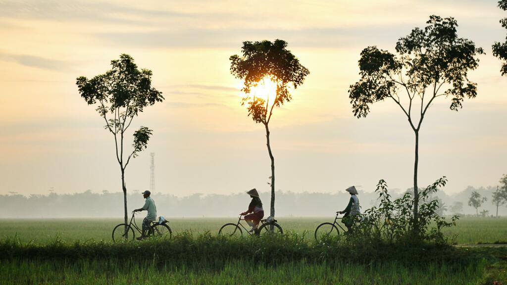 La transizione verso l’elettricità a basse emissioni di carbonio in Thailandia e in Indonesia